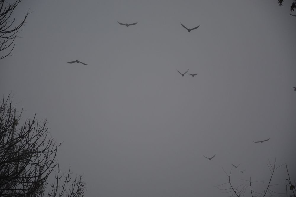 Photograph by Helena Lugowska