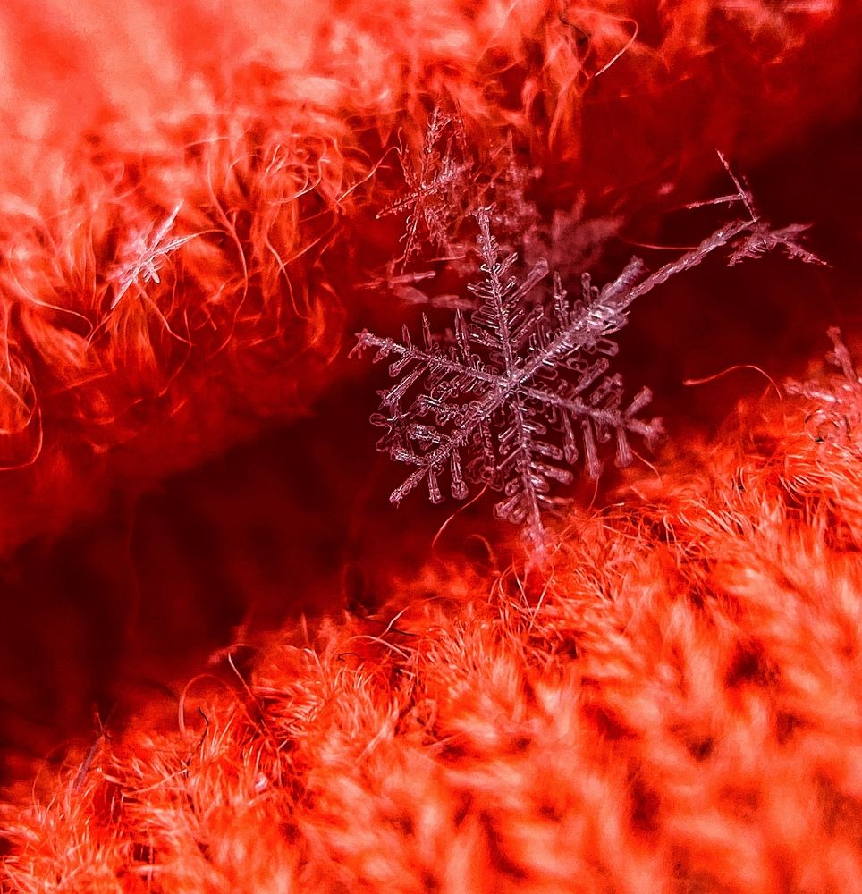 Photograph by Дана Жулдызбек