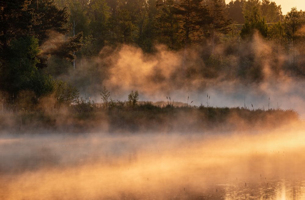 Photograph by Dace Spalviņa