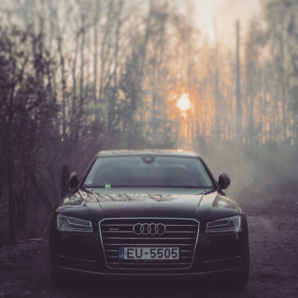 Photograph by Marina Svjatenko