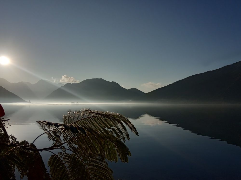 Photo #6770370