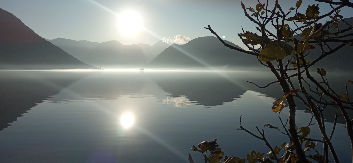 Photo #6770371