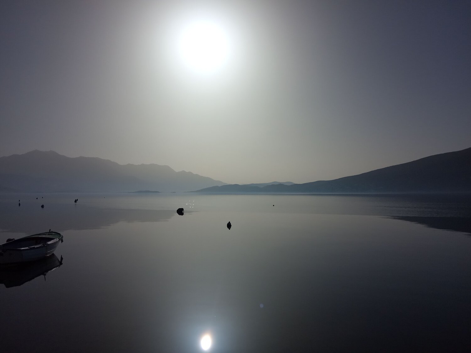 Photo #6770372