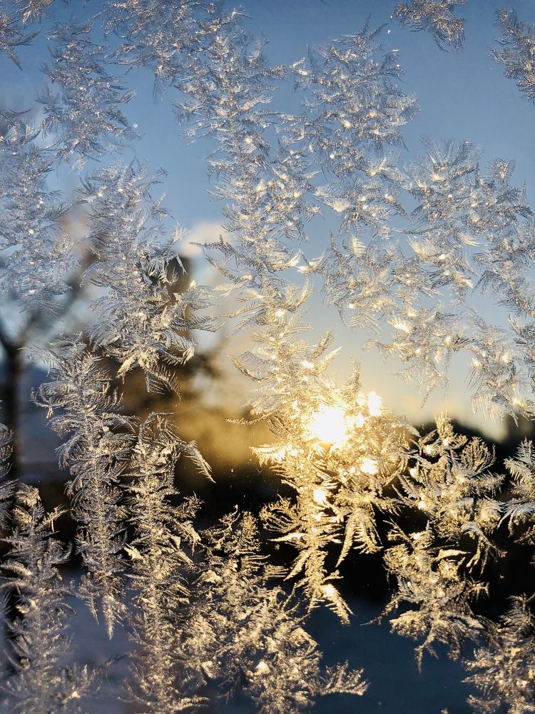 Морозное утро.