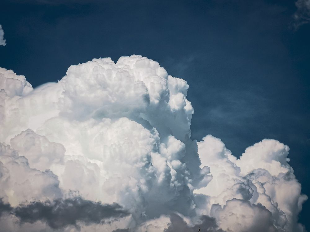 Photograph by Ilia Nikolenko