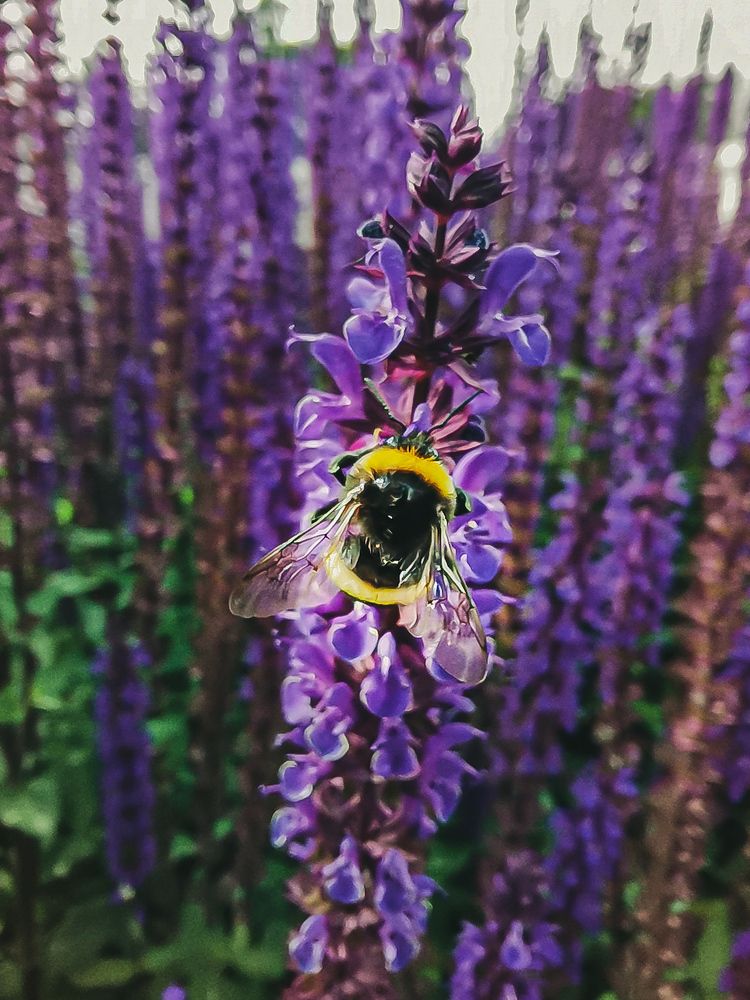 Photograph by Ilia Nikolenko