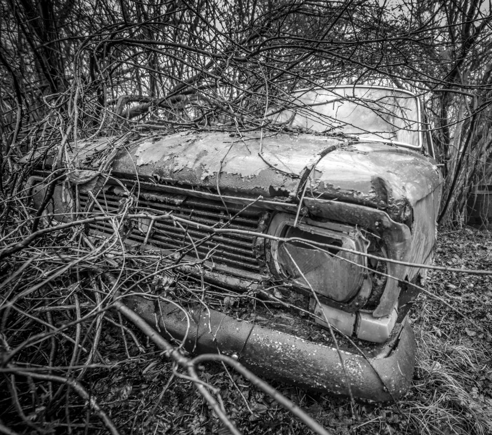 Photograph by Konstantin Vladov