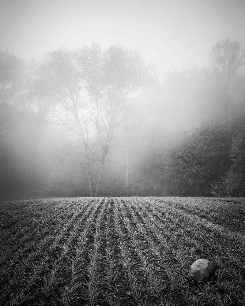 Photograph by Katarzyna Bochniak