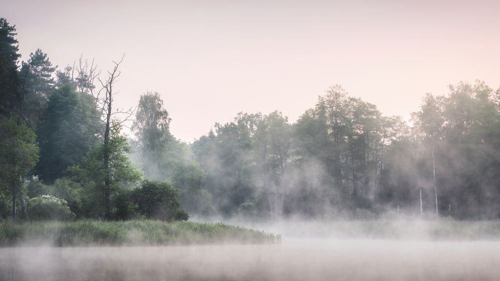 Photograph by Katarzyna Bochniak
