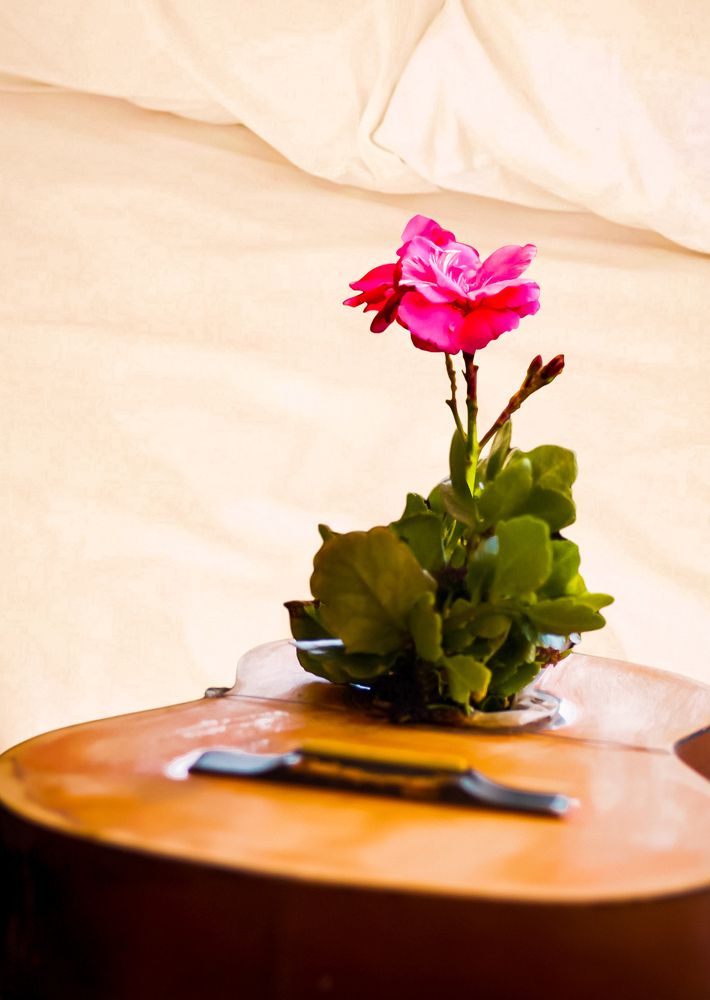 Photograph by Roberto Luigi