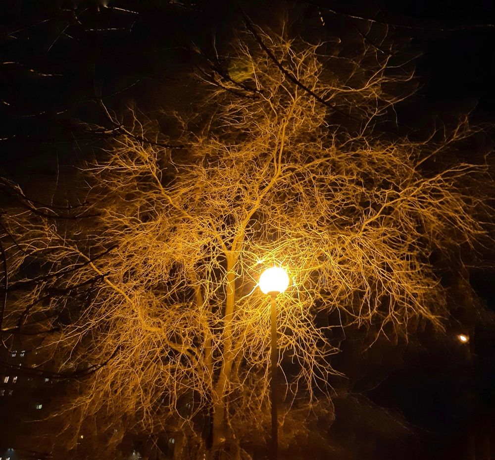 Photograph by Людмила