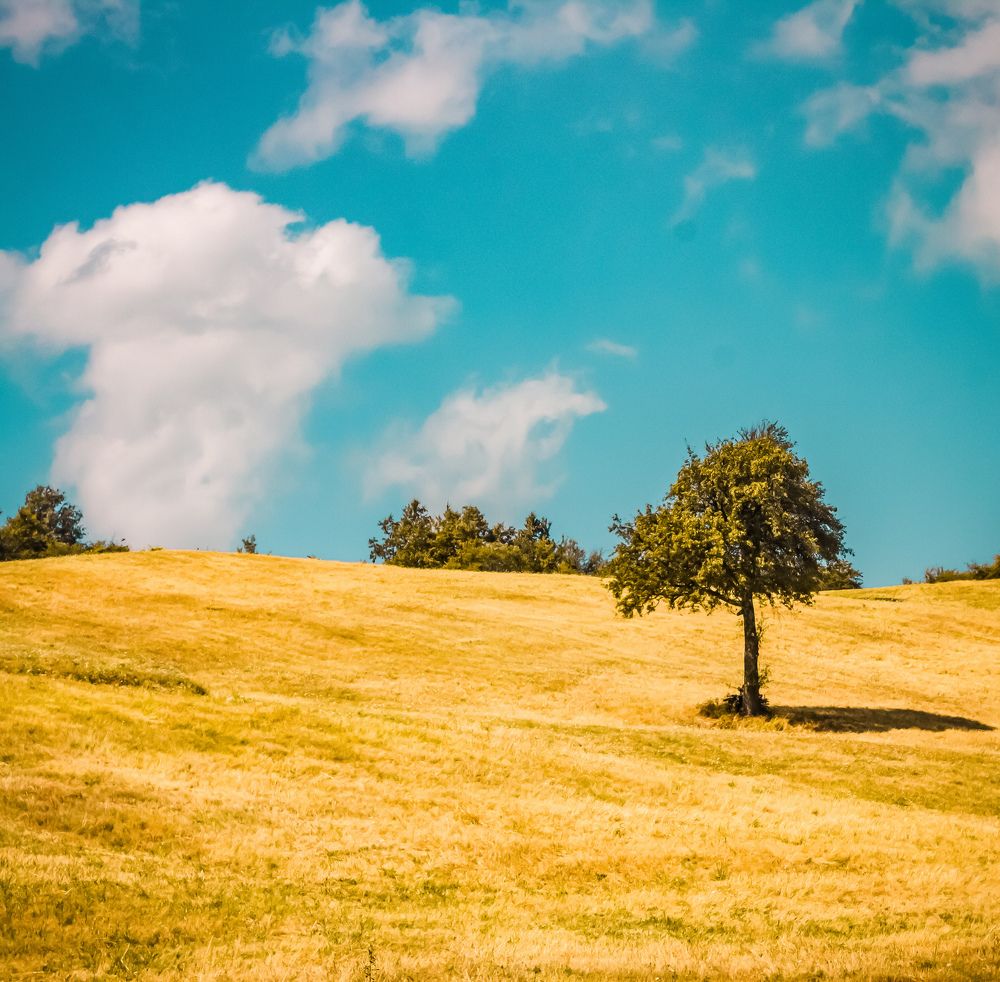 Photograph by Roberto Luigi