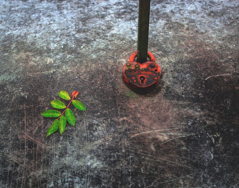 Любовные узы.