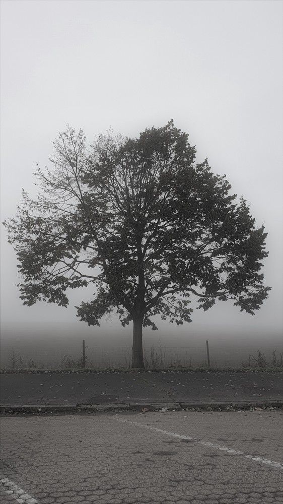 Photograph by Marie G