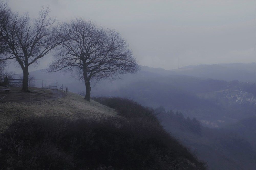 Photograph by Marie G