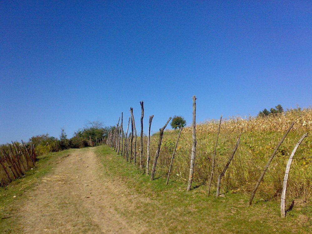 Photograph by Aleksandre Toradze