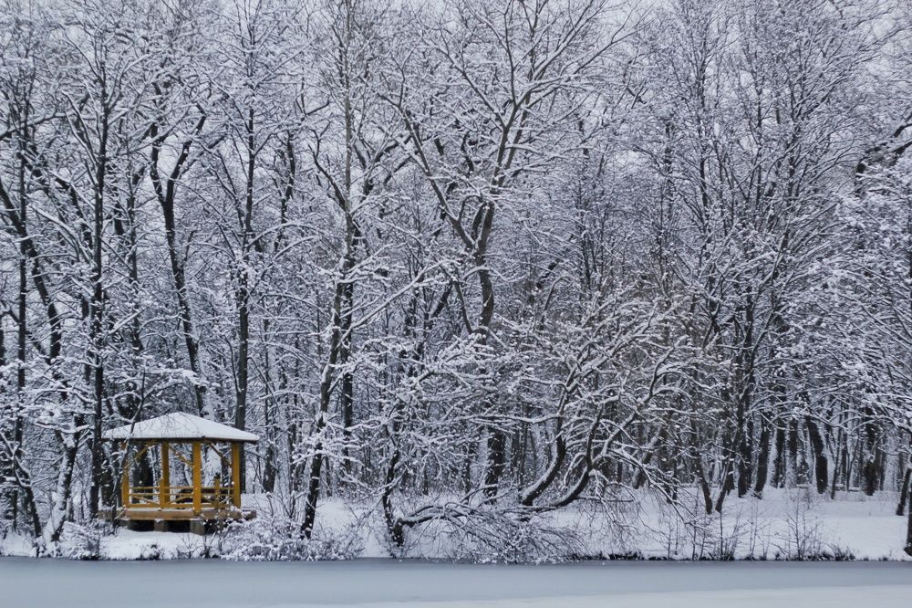 Photograph by Ksenya Loboda