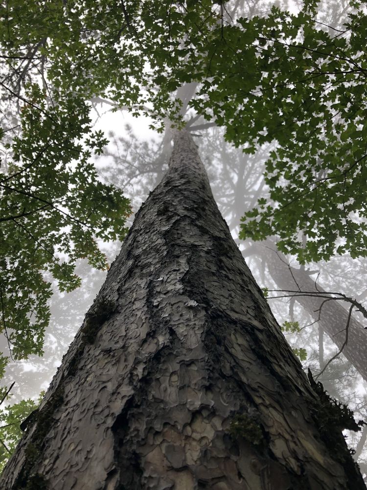 Photograph by Inna Shevchenko