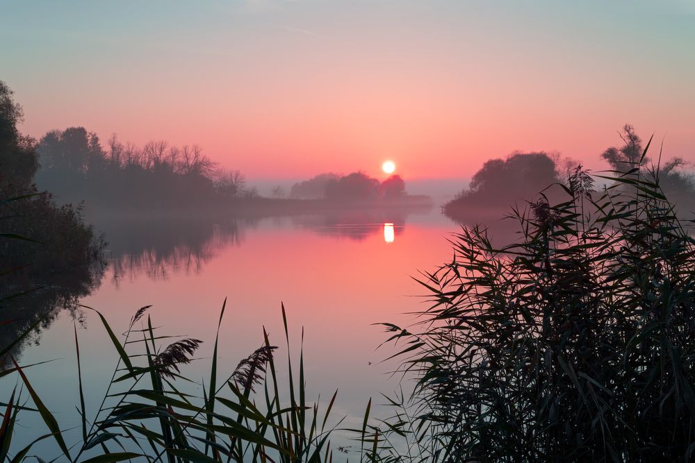 Р. Первая Кочеты