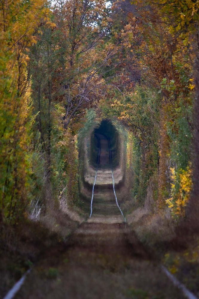 Дорога в осень.