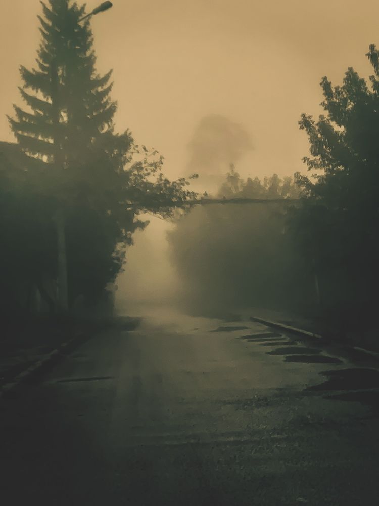 Photograph by Alexsei