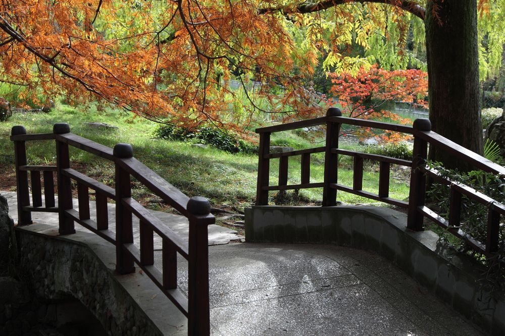 Photograph by Сергей Ножнин