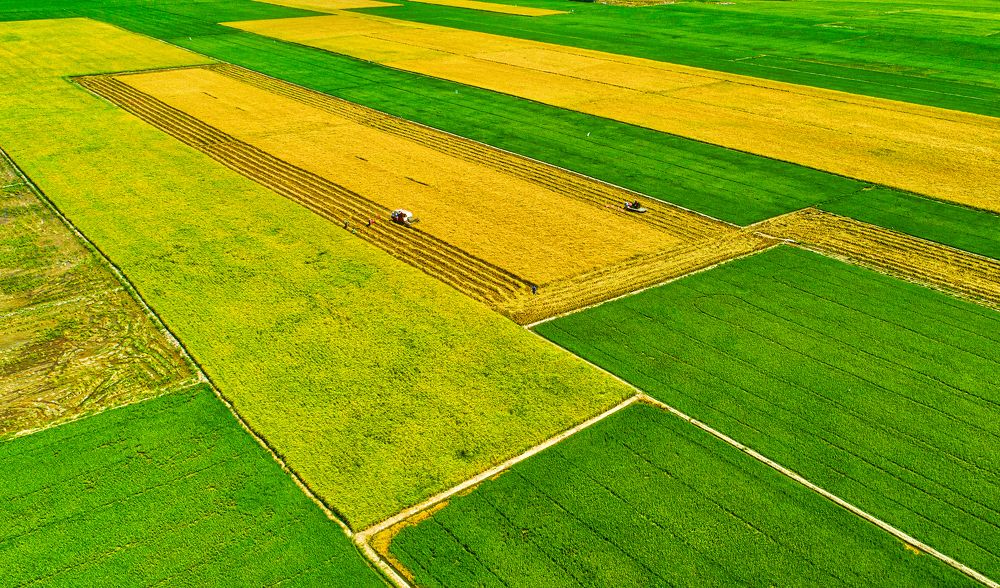 NỐI TIẾP VỤ MÙA