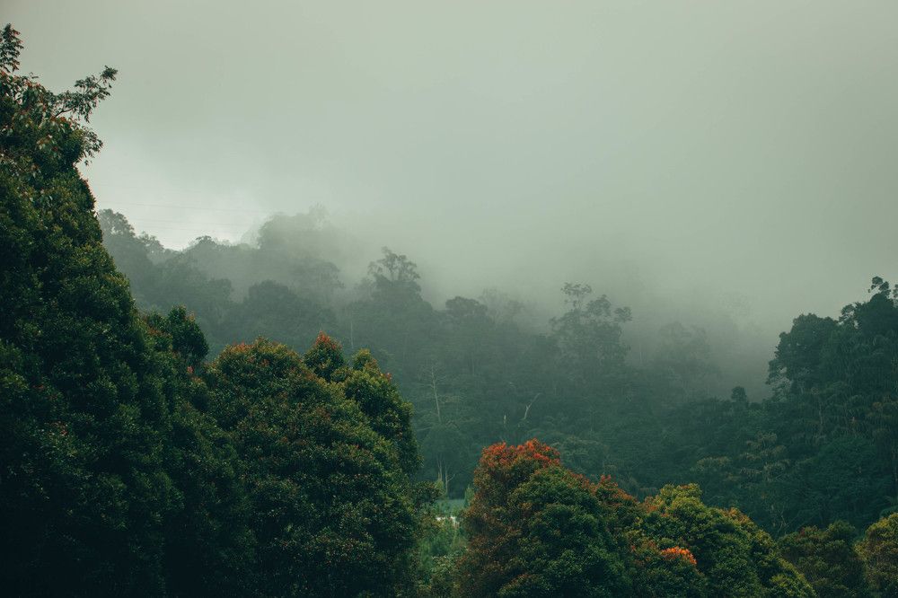 Photograph by Syed Zohair