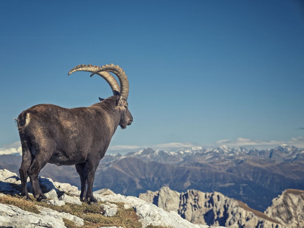 Photograph by Andrei Zudov