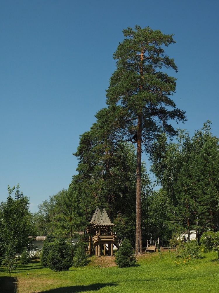 Photograph by Бакшеева Марина