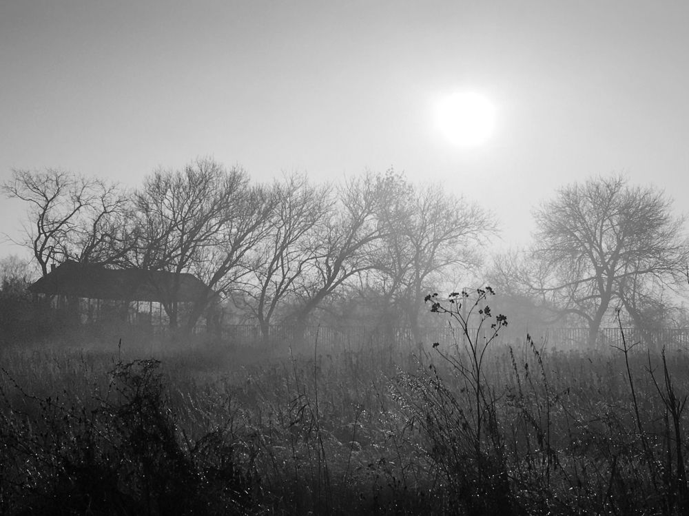 туманное утро