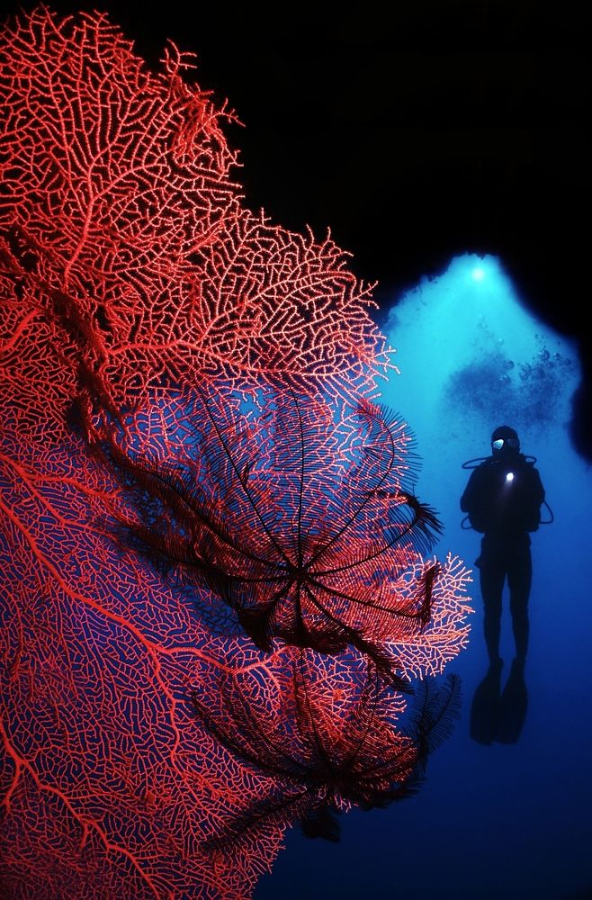 Photograph by Aldo Galante