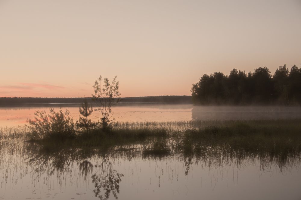 Photograph by Николай Полыгалов