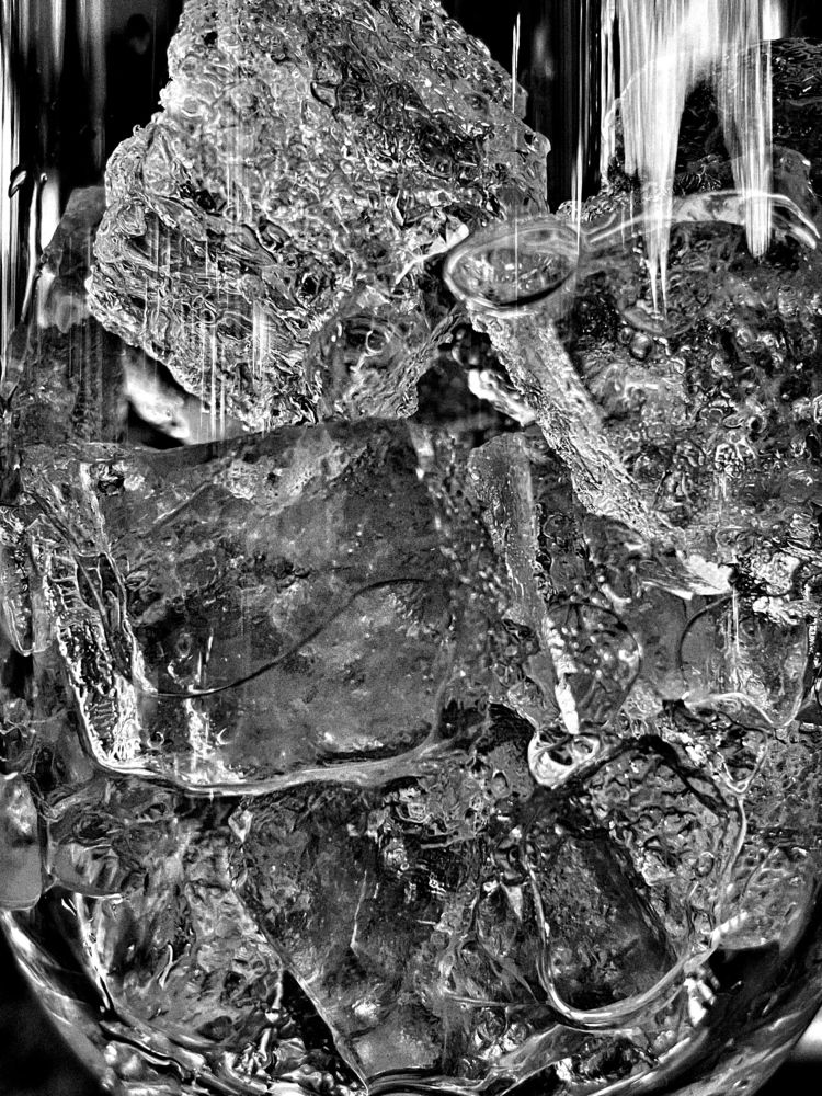 Photograph by Stephanie E’amato