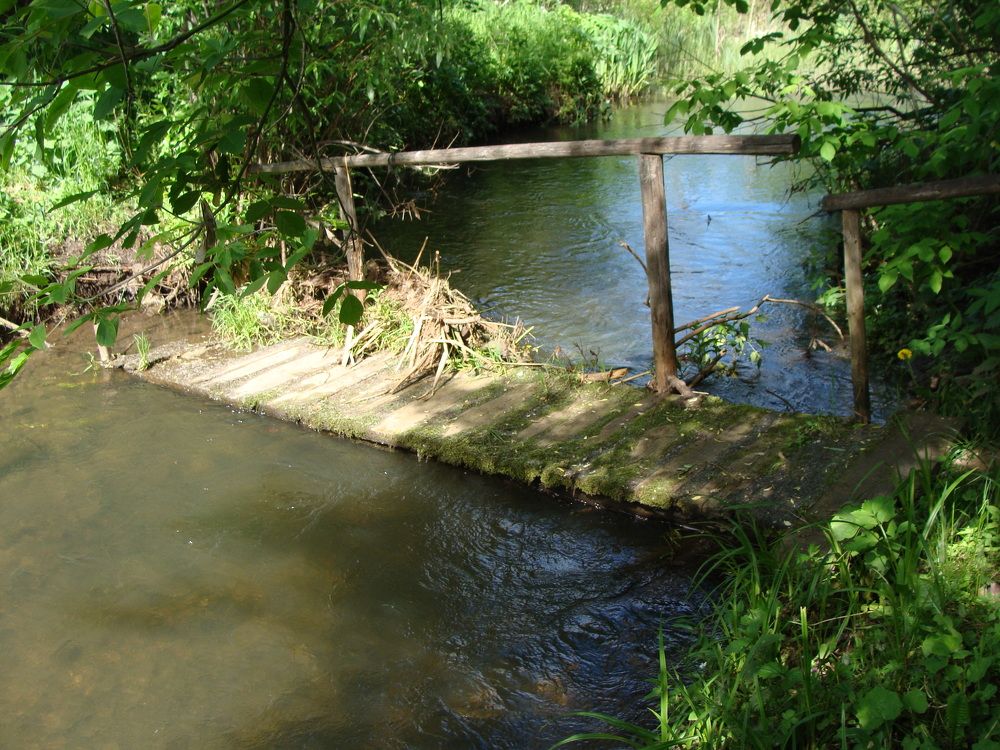 Photograph by Николай Худяков