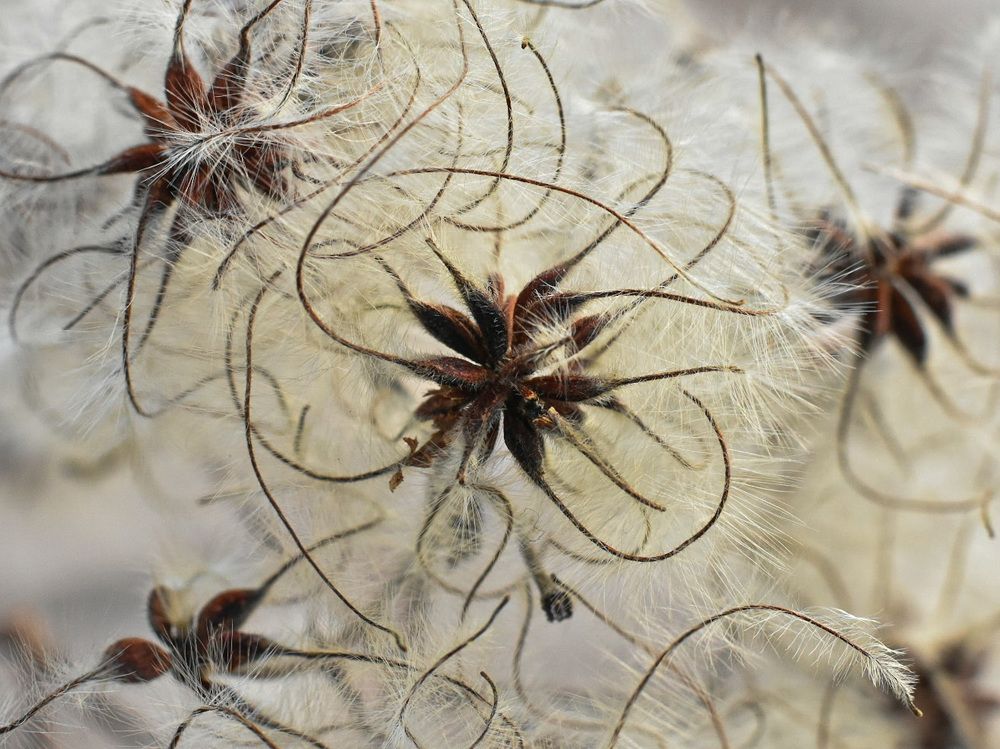 Photograph by Stanko Ratković