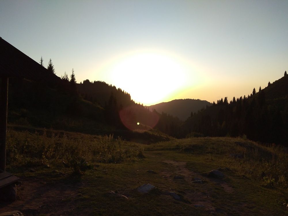 Photo #6771911