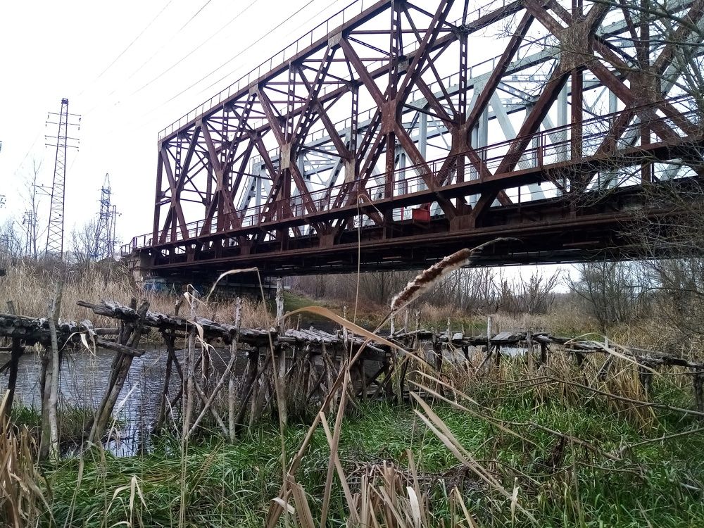 Photo #6771915