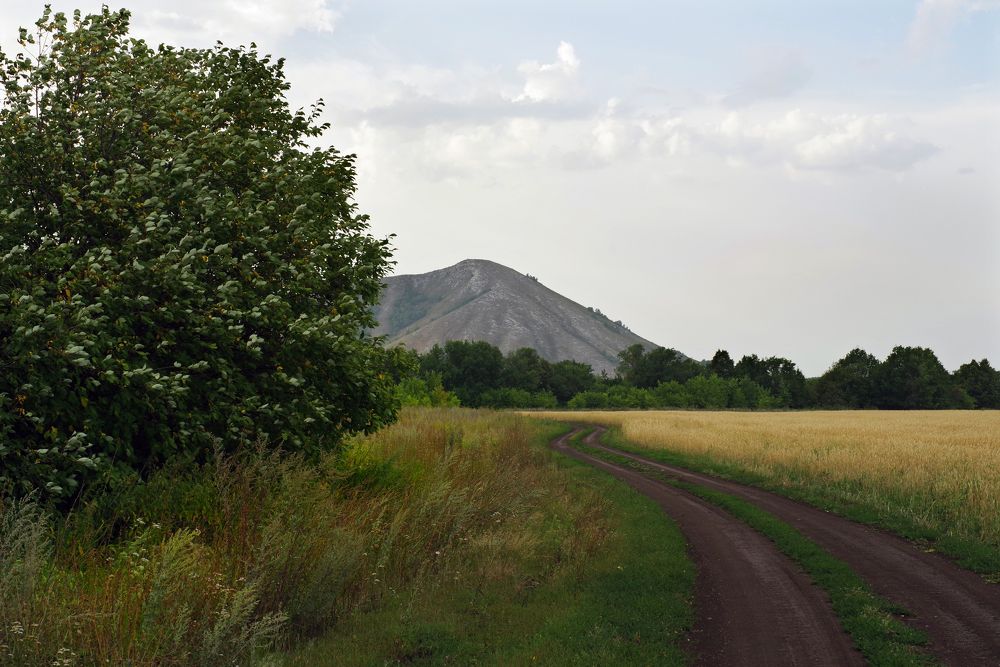 Photograph by Рашит Чумарин