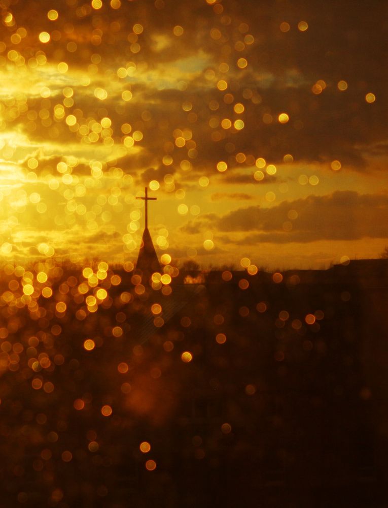 Фотография автора KattyFox