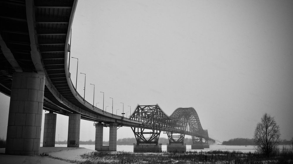 Чёрно-белый Дракон