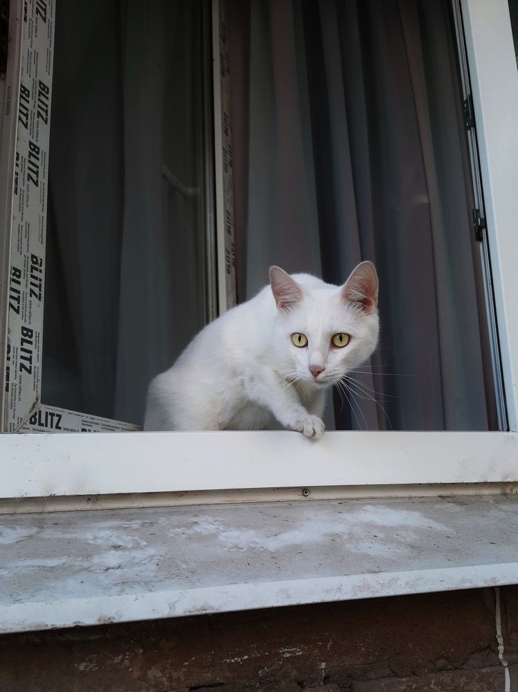 Photograph by Бакшеева Марина