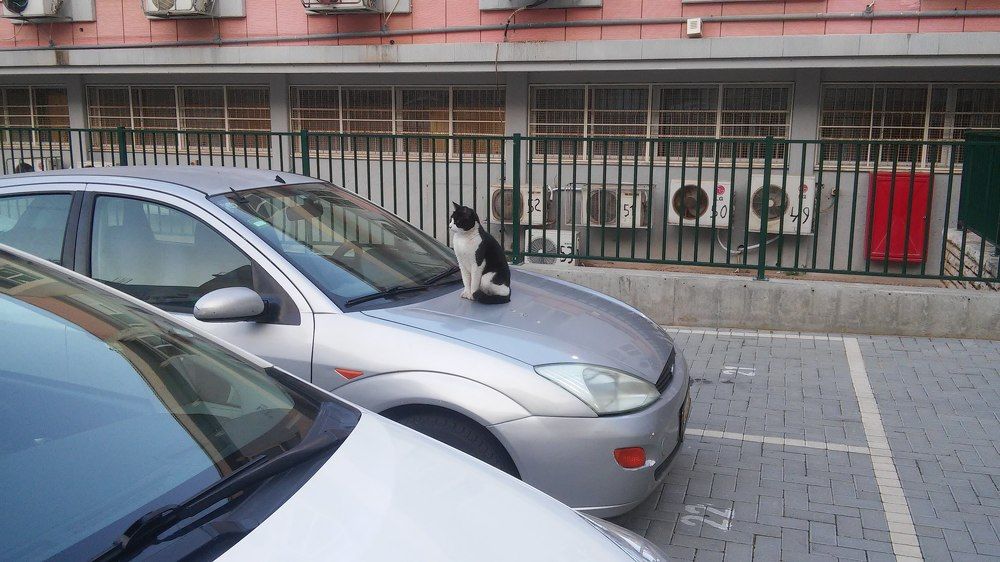 Photograph by Jacob Greenberg