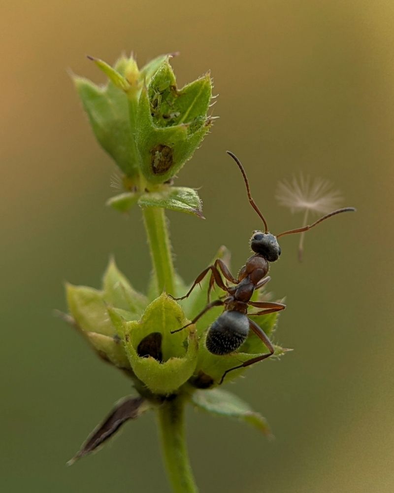 Photograph by R***n P***y