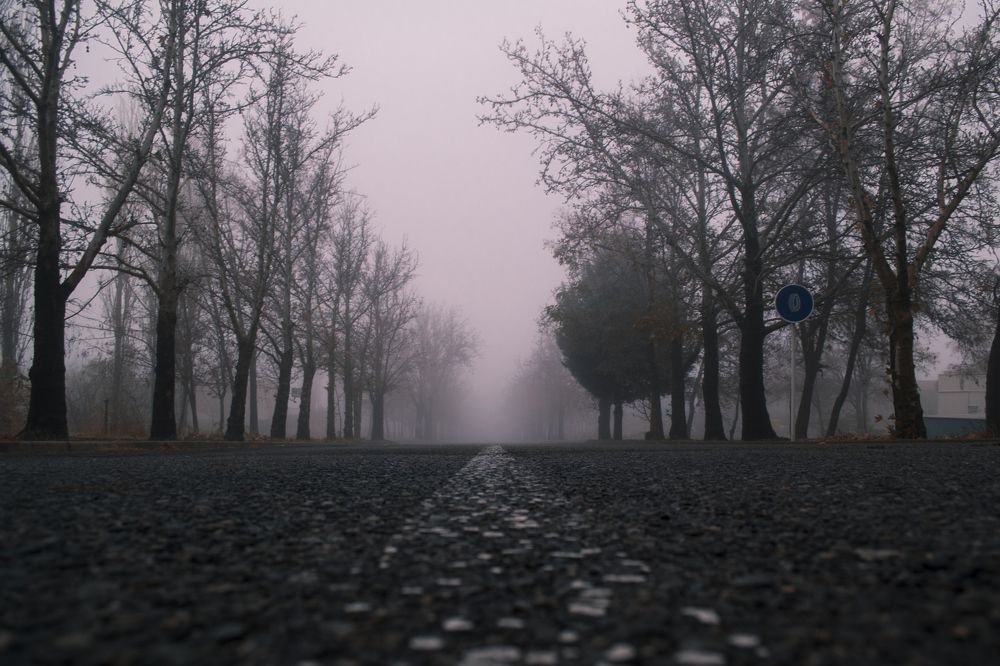 Фотография автора Abbas Ahmadi