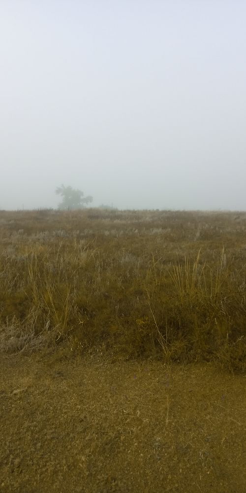 Photograph by Дарья Лазарева