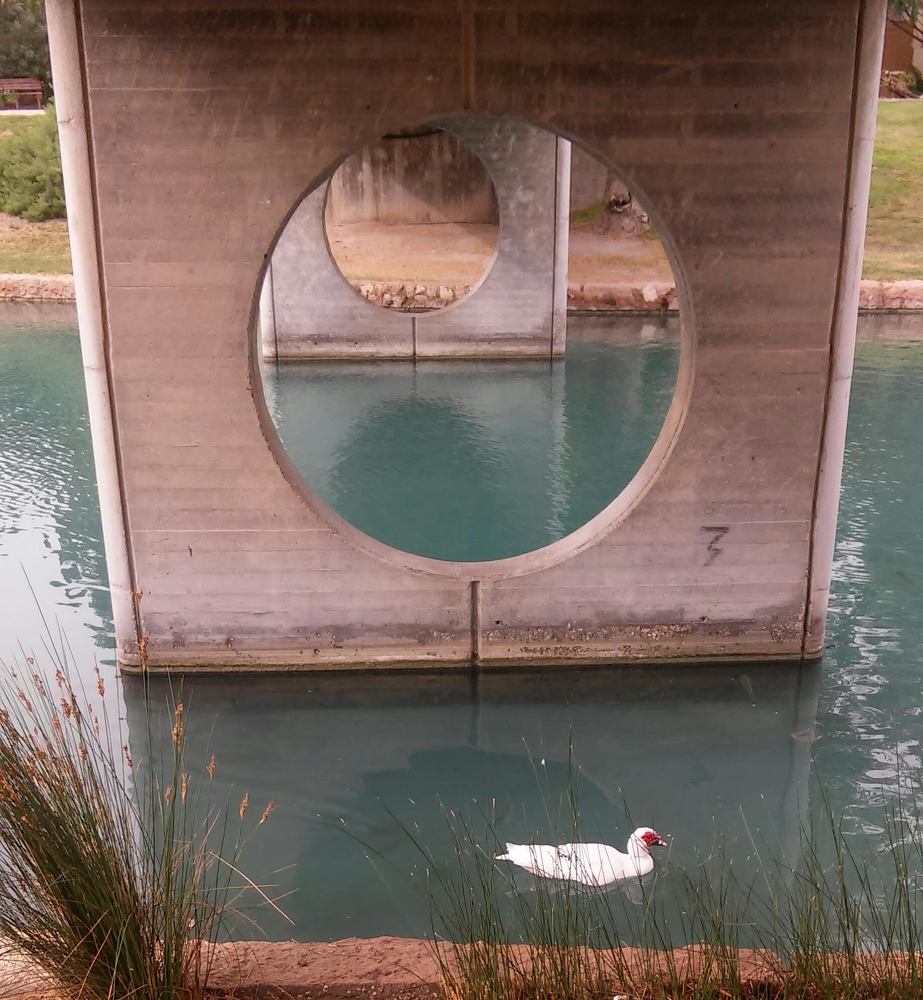 Photograph by Jacob Greenberg