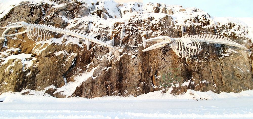 Photograph by Elisabeth Vinther