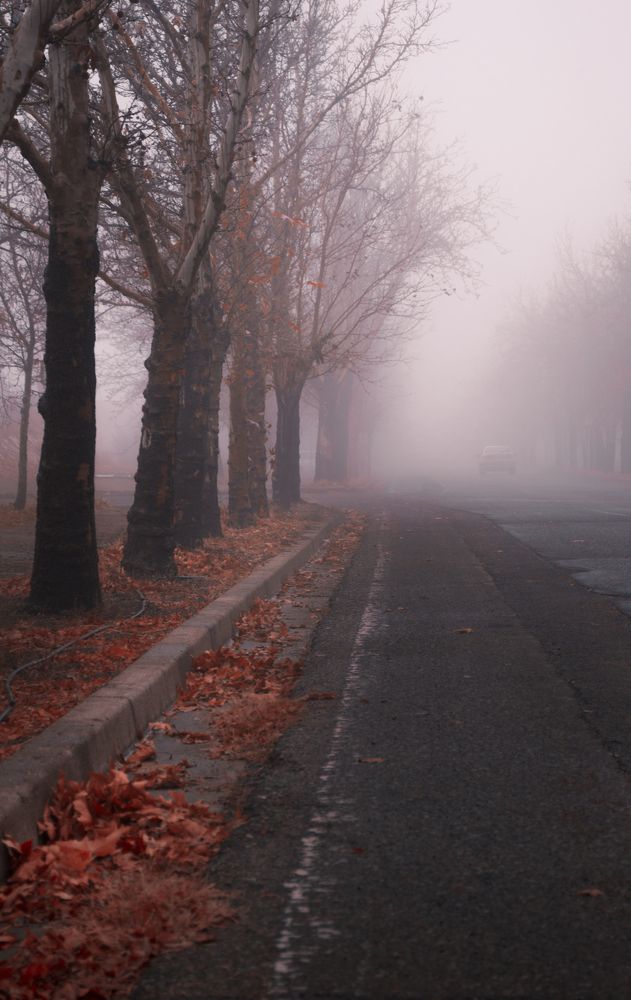 Фотография автора Abbas Ahmadi