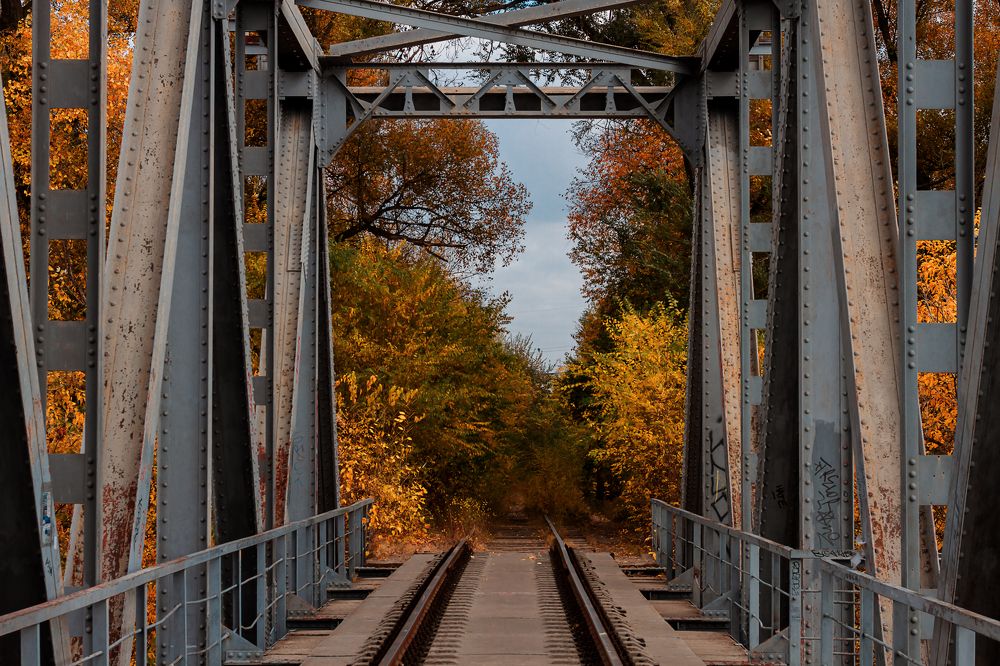 Bridge in Autumn